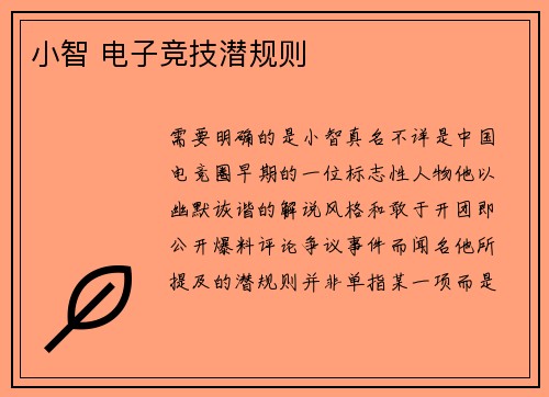 小智 电子竞技潜规则
